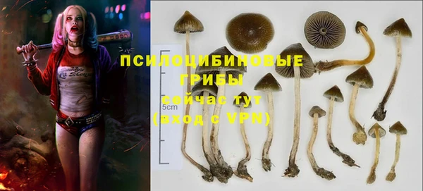 mdpv Ладушкин