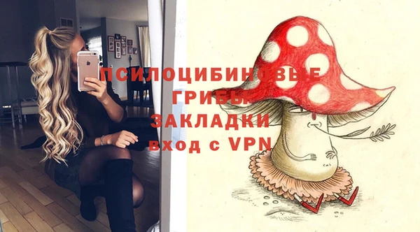 mdpv Ладушкин