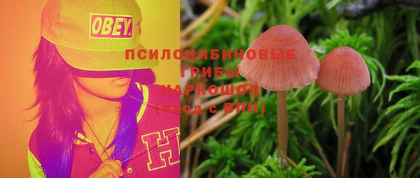 сатива Липки