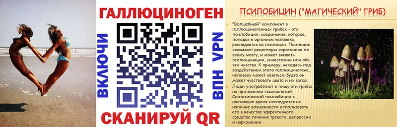 Псилоцибиновые грибы Cubensis  Миньяр 